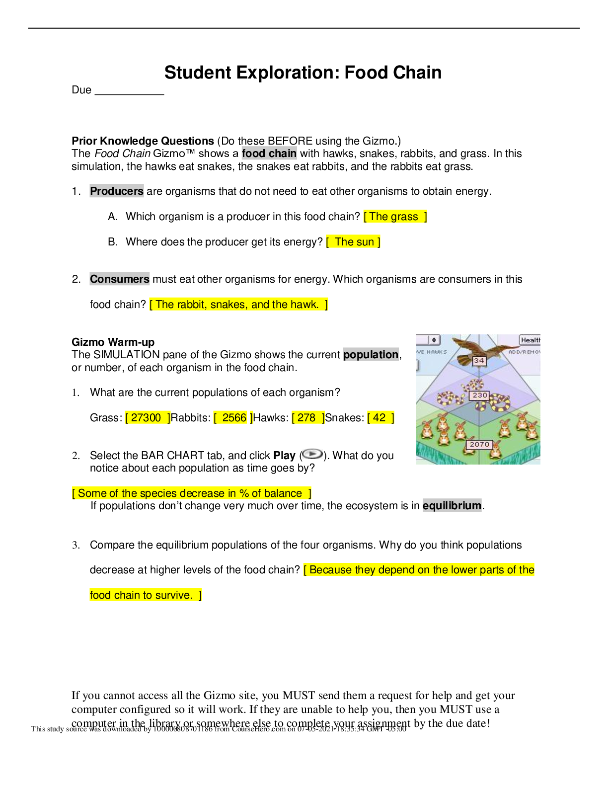 document-preview